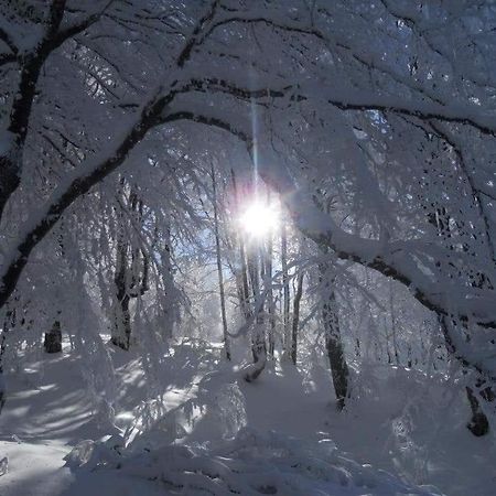 Stara Planina Vila Vesela Kuca Jalovik Izvor Exterior photo